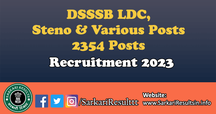 DSSSB LDC, Steno Recruitment 2023